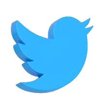 Twitter icon